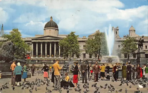 BR77524 trafalgar square and national gallery london uk 14x9cm