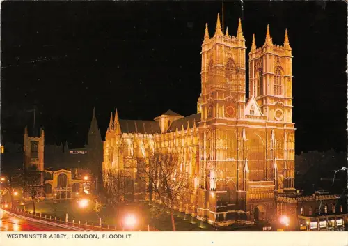 B101699 westminster abbey london floodlit uk