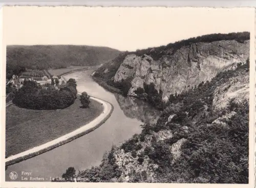 BF16975 freyr les rochers le lion belgium front/back image