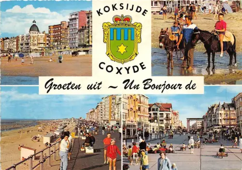 BG12024 koksijde coxyde groeten uit un bonjour horse belgium