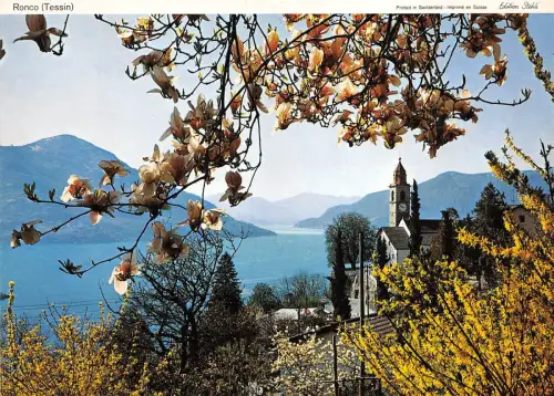 BR21234 Ronco Schweiz