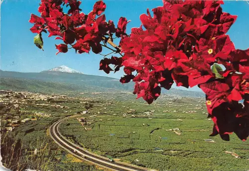 BR16070 La Orotava vista del Valle spain