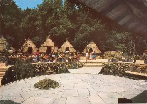 BR86115 bulgaria zlatni piassatzi bar kolibite slatni pjassazi