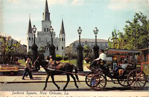 BF299 St Louis Cathedral at Jackson Square Horse Chevaux New Orleans USA