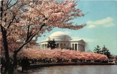 BF35953 Jefferson Memorial Washington USA Front/Back Scan