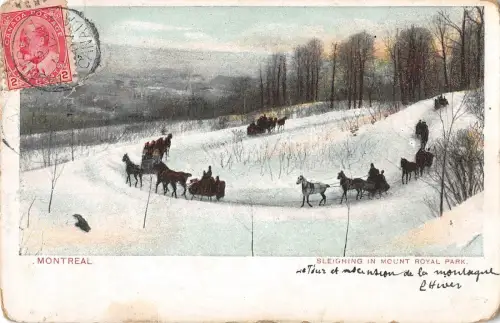 BR46694 Montreal Schlitten in Mount Royal Park Canada