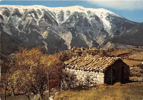 BR13227 Amandiers en fleurs avec le mont Ventoux sous la neige Les Bell france
