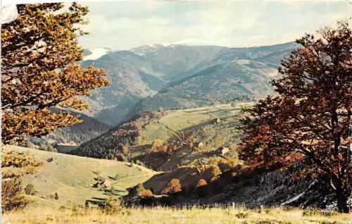 B73236 Feldberg Deutschland