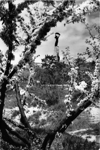 B40004 Budapester Gellertberg. Befreiungsdenkmal Ungarn