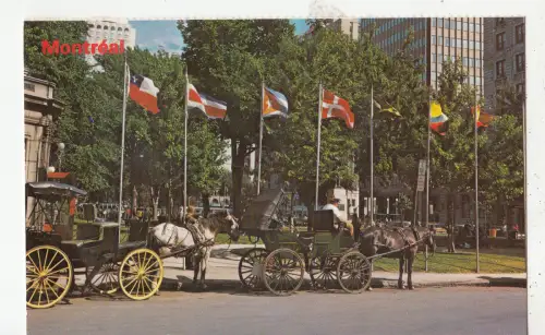 BF26836 montreal quebec canada caleches dominion square front/back image