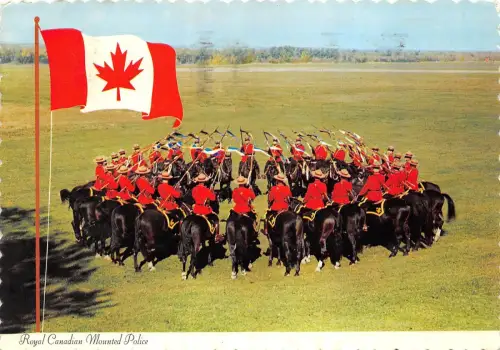 BG13798 Royal Canadian Mounted Police Horse Military Militaria Canada