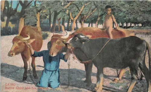 br104430 einheimisches Kind und sein Bufalos Kairo Afrika Ägypten Folklore Kostüm