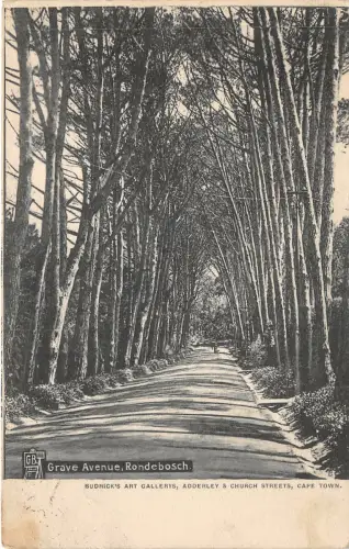 uk42282 grave avenue rondebosch south africa