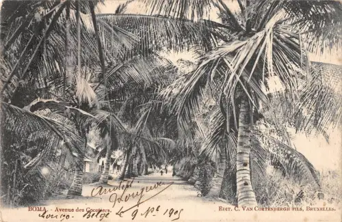 BR57072 Boma avenue des Cocotiers Afrika Kongo