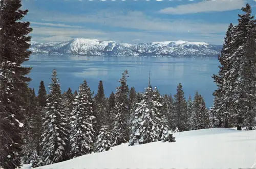 B32539 Winter am Lake Tahoe USA