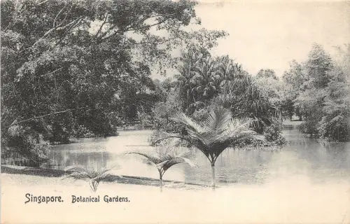 Lot 89 Botanische Gärten Singapur