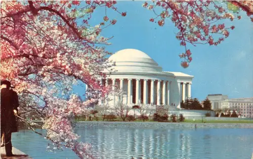 BR23446 Thomas Jeferson Memorial Washington USA