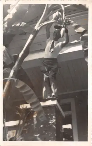 B44462 Hawaii Honolulu USA