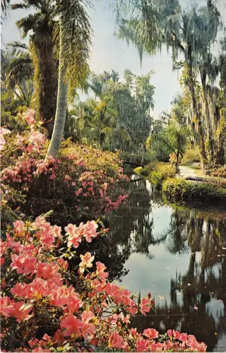 BR23770 Cypress Gardens Florida USA