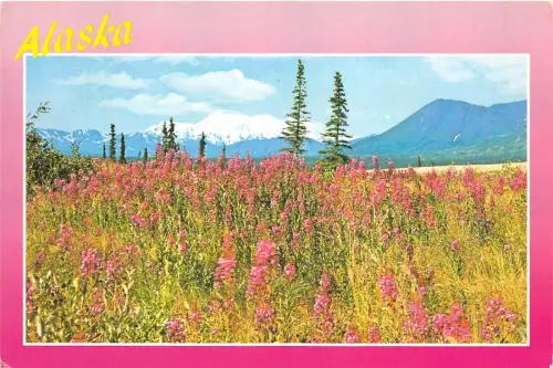 B66694 Mt Mc Kinley alaska usa