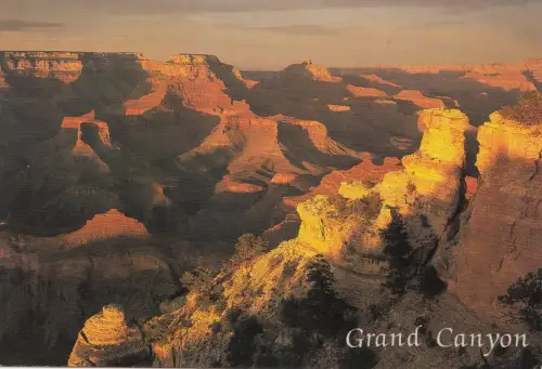 BF17964 Grand Canyon Arizona Near Yaki Point USA Front/Back Bild