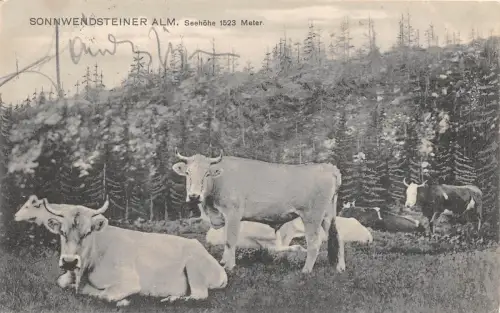 B29131 Sonnwendsteiner Alm Seehöhe 1523 Meter Österreich