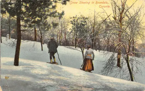 br106300 Schneeschuh in Rosedale Toronto Canada