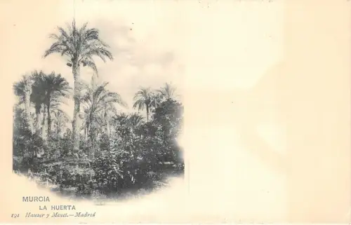 Lot102 spanien murcia der Obstgarten