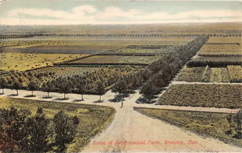 Lot138 Szene auf experimenteller Farm Brandon Manitoba Kanada