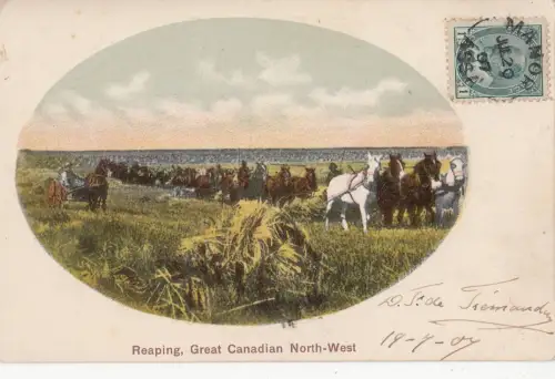 B77610 ernten große kanadische Nordwestpferde Cha Kanada Scan Vorder-/Rückseite Bild
