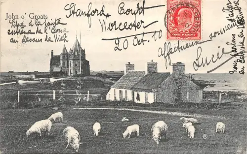 BR63929 john o groats sheep mouton scotland