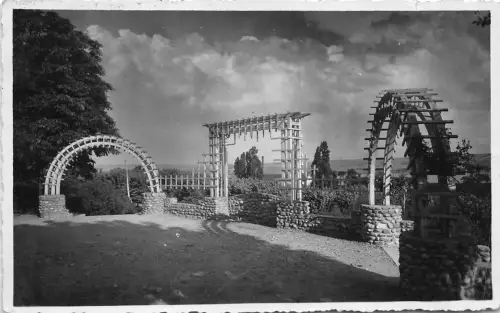 b81 Echtfoto Rumänien