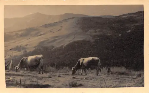 b70868 Transkarpatien Carpati Karpatengebirge Ukraine Rumänien Zakarpatska 28