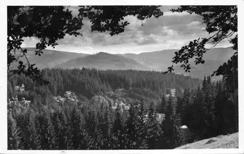 b11237 borszek borsec reszletes latkep echtfoto harghita rumänien