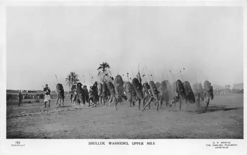 US5411 Shulluk Krieger Obernil Militär Typen Echt Foto Sudan Afrika