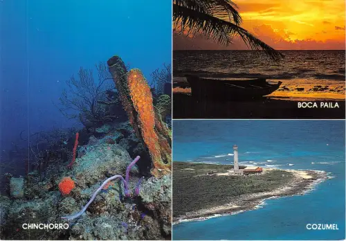 Lot258 chinchorro cozumel boca paila mexico