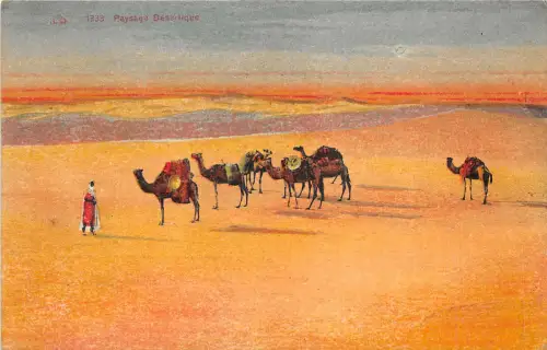 br104445 paysage desertique egypt africa