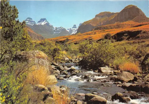 Lot 1 Südafrika Drakensberg Natal