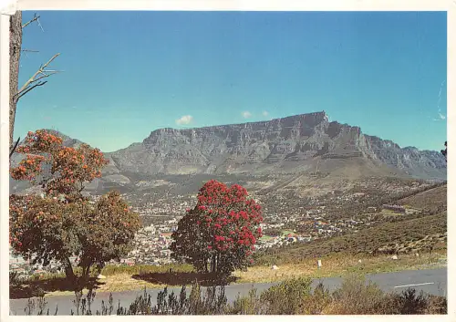 Lot154 Südafrika Kapstadt Tafelberg Signalhügel