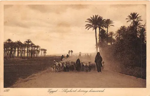 br104459 Schäfer Fahrhomend Ägypten Afrika Ägypten
