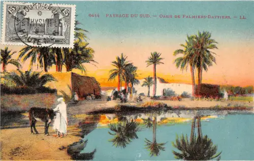 br104377 paysage du sud oasis de palmiers dattiers africa algerie