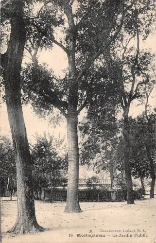 B104802 Afrika Algerien Mostaganem Le Jardin Öffentlicher Garten