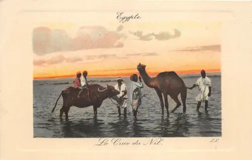 Lot163 Afrika Ägypten Typen Folklore Kostüm Nilkur Kamel Ochsen