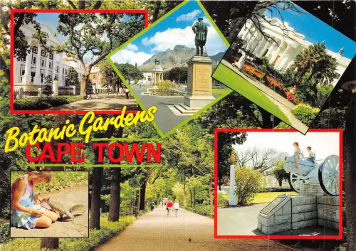 Lot 2 Südafrika Botanische Gärten Kapstadt Eichhörnchen Kanone