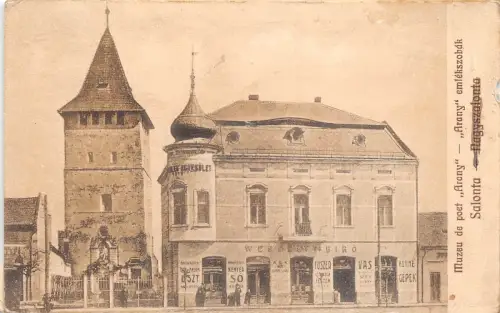 B14984 salonta muzeu de poet arcny Szalonta romania bihor