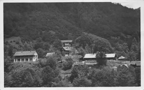 b2881 gura zlata Hunedoara raul mare petezol romania