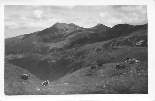 b70871 Transkarpatia carpati carpathian Maramures ukraine rumänien Zakarpatska 25