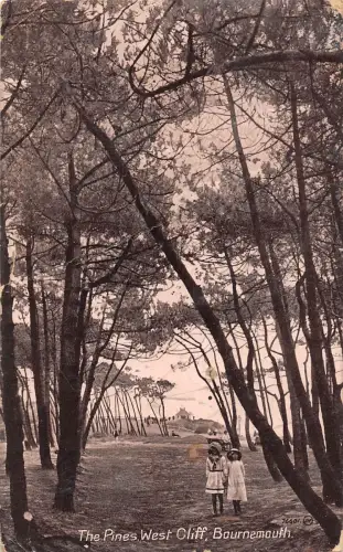 uk29333 pines west cliff bournemouth real photo uk