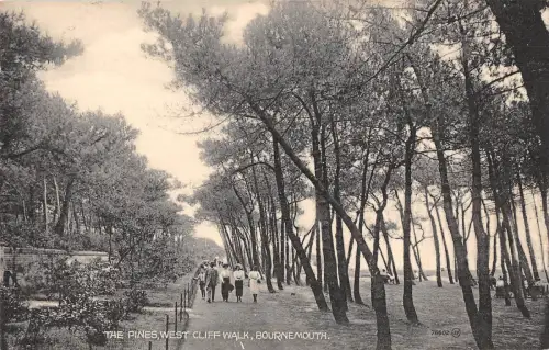 uk29317 the pines west cliff walk bournemouth echtfoto uk