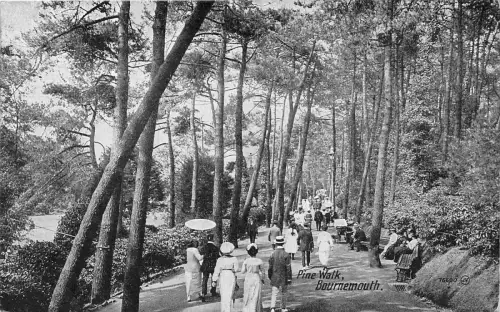 BR60620 pine walk bournemouth uk